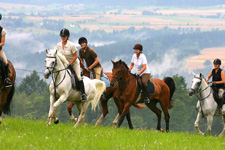 Germany-Black Forest-Castle Sindlingen Equestrian